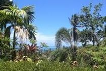 Appartement Seaview Plage de Lamai